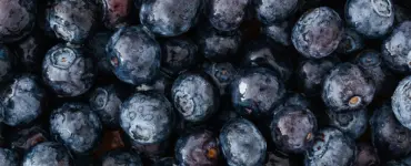 educacion nutricional canavitae